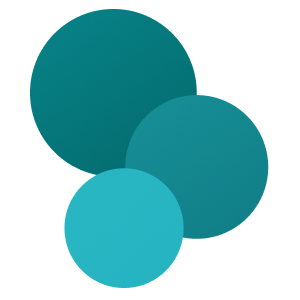 CRM and ERP support services
